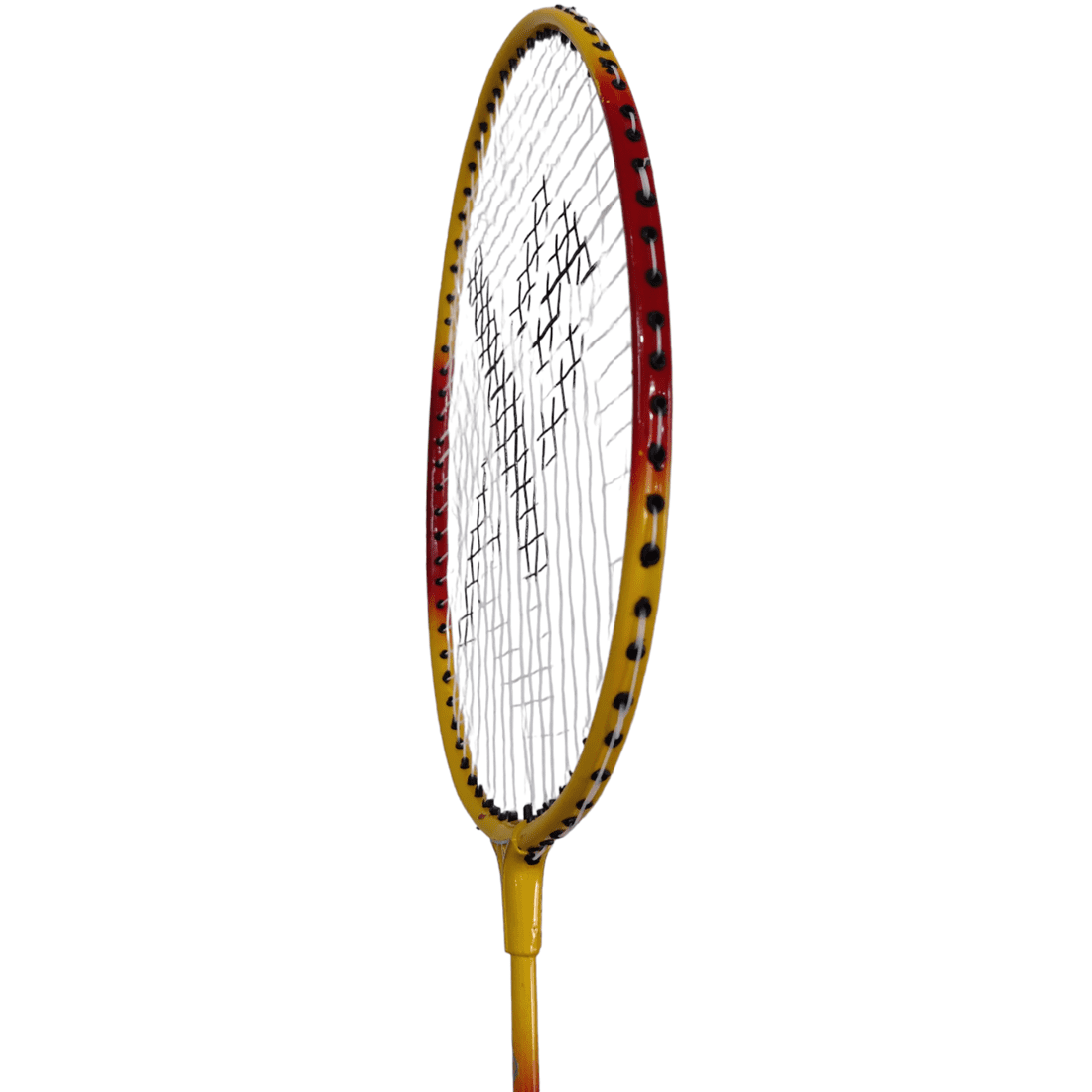 alt="AXG New Goal Thrasher Badminton Racquets"